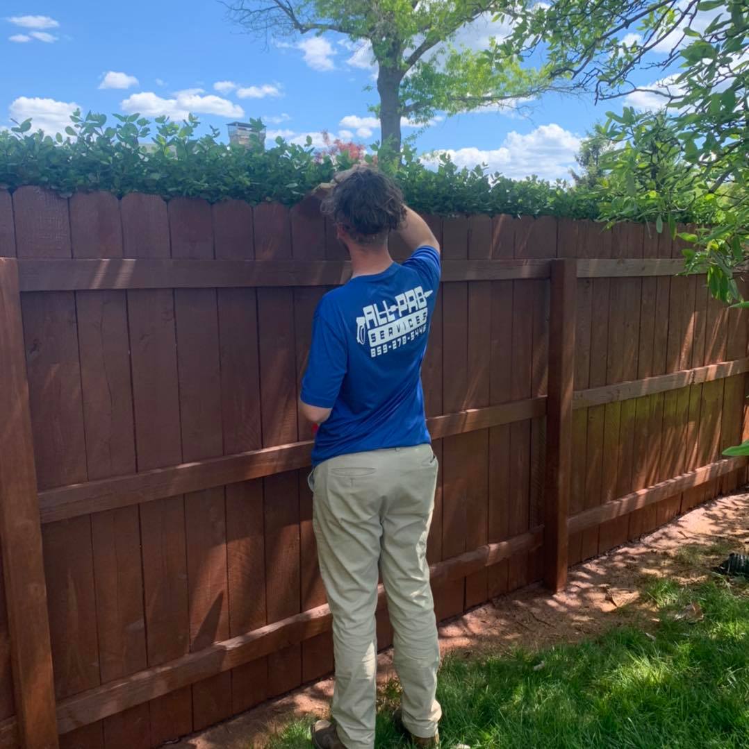fence-cleaning2