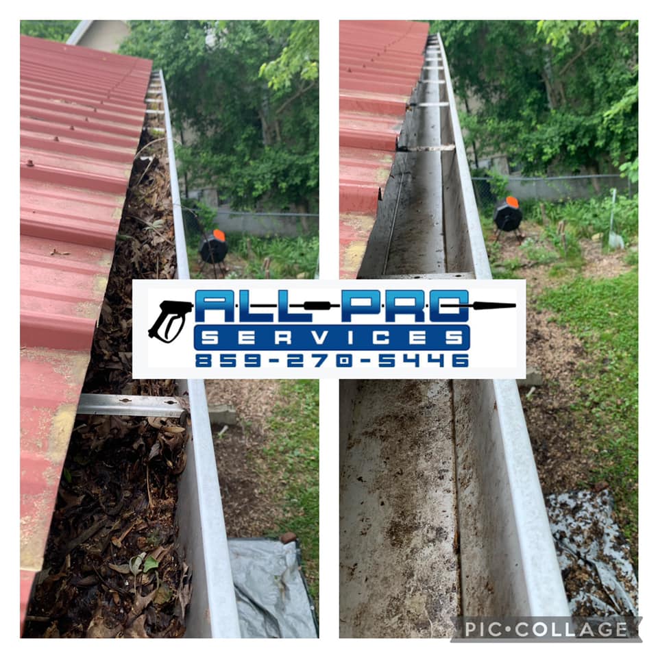 gutter-cleaning2